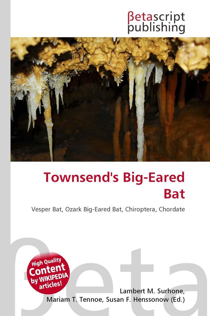 Townsend's Big-Eared Bat