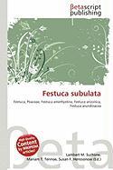 Festuca subulata