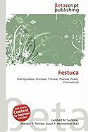 Festuca