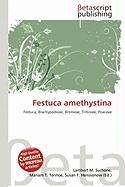 Festuca amethystina