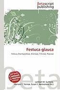 Festuca glauca