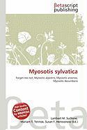 Myosotis sylvatica