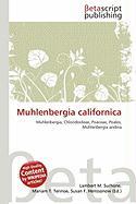 Muhlenbergia californica