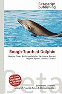 Rough-Toothed Dolphin