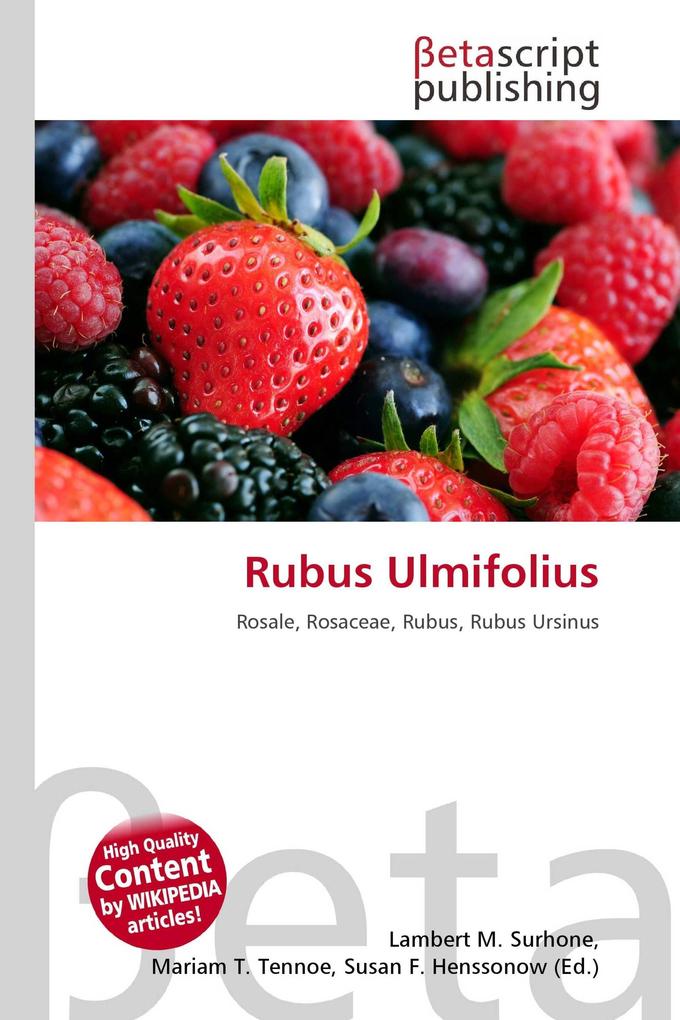 Rubus Ulmifolius