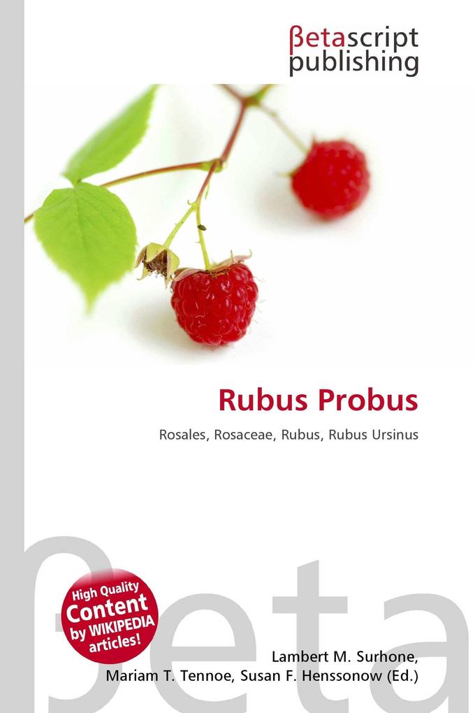 Rubus Probus
