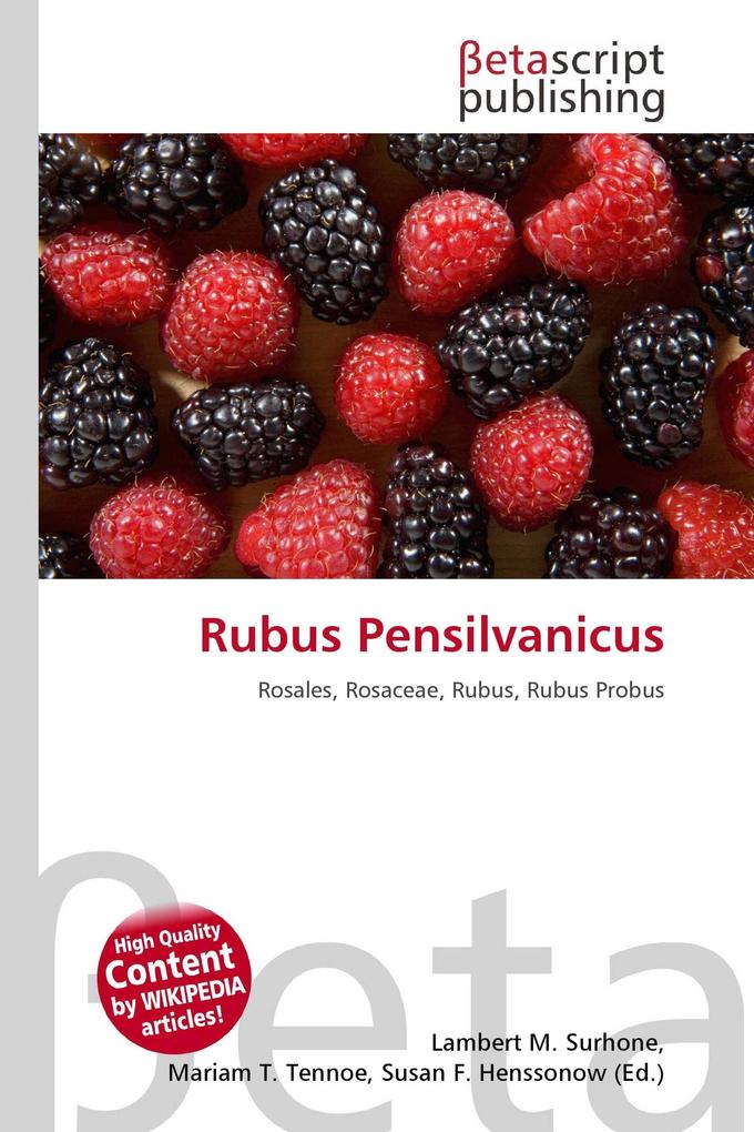 Rubus Pensilvanicus