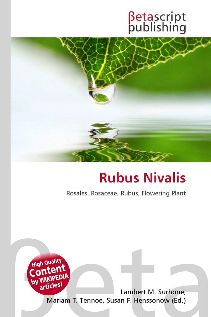 Rubus Nivalis