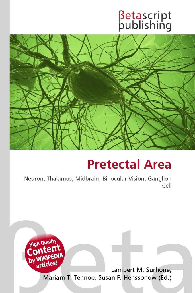 Pretectal Area