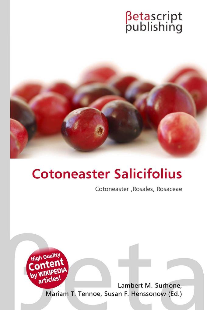 Cotoneaster Salicifolius