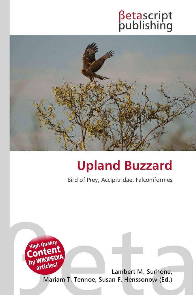 Upland Buzzard