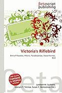 Victoria's Riflebird