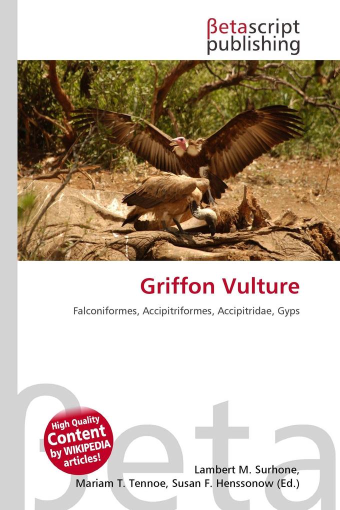 Griffon Vulture