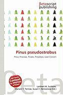 Pinus pseudostrobus