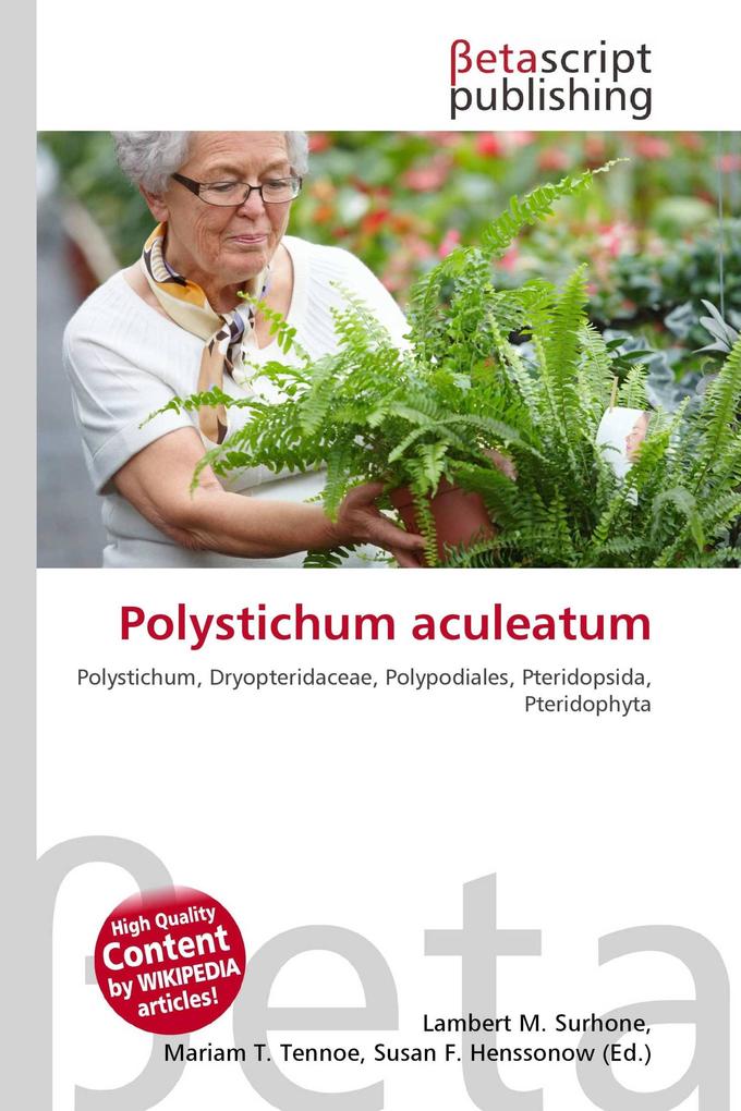Polystichum aculeatum