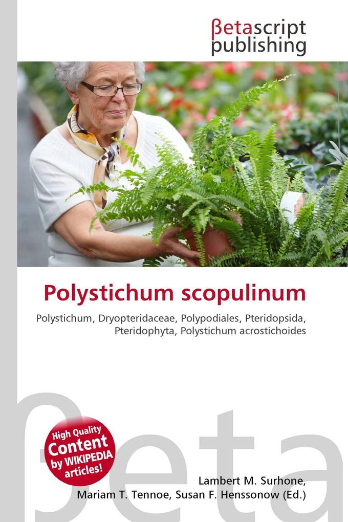 Polystichum scopulinum