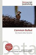 Common Bulbul