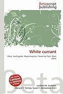 White currant