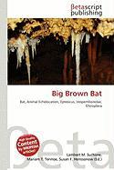Big Brown Bat