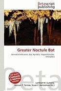 Greater Noctule Bat