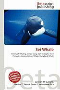 Sei Whale