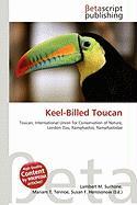Keel-Billed Toucan