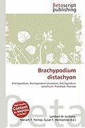 Brachypodium distachyon