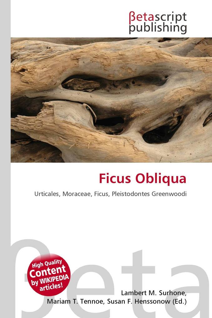 Ficus Obliqua