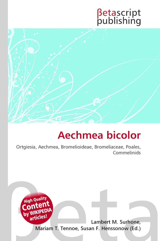 Aechmea bicolor