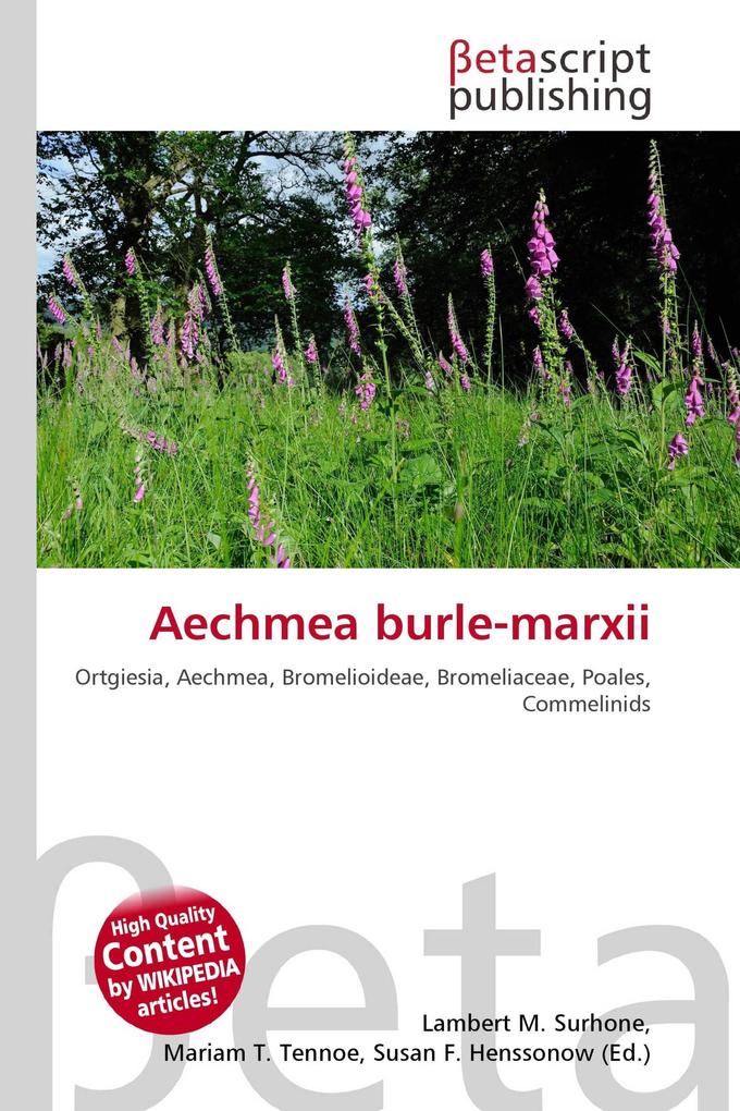 Aechmea burle-marxii