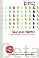 Pinus montezumae