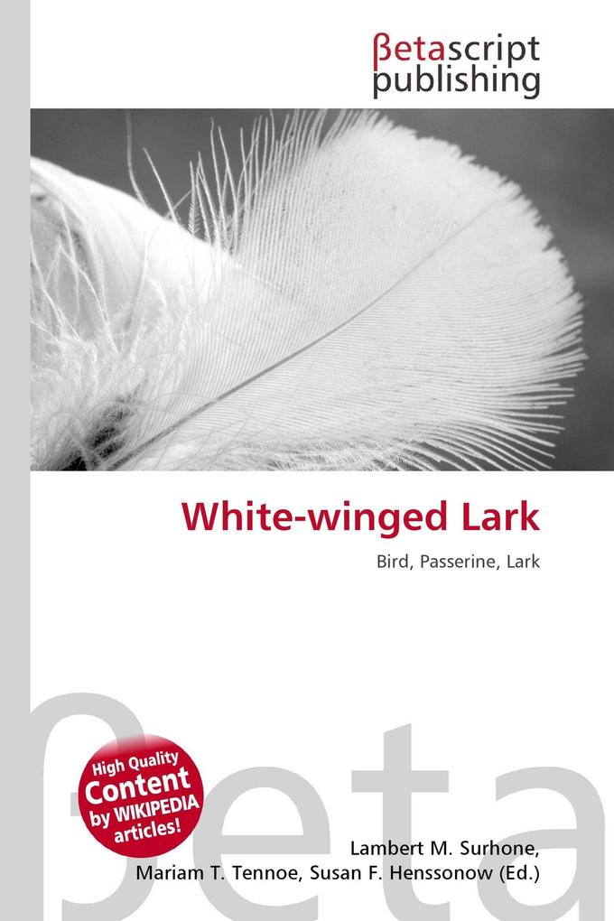 White-winged Lark