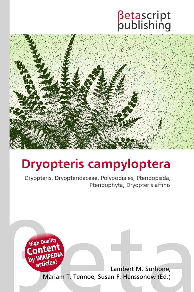 Dryopteris campyloptera