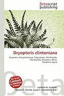Dryopteris clintoniana