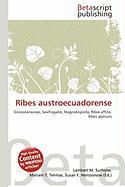 Ribes austroecuadorense