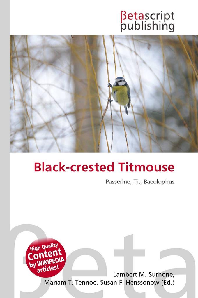 Black-crested Titmouse