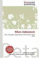 Ribes indecorum