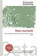 Ribes marshallii