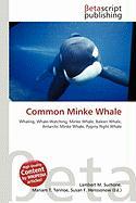 Common Minke Whale