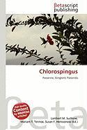 Chlorospingus