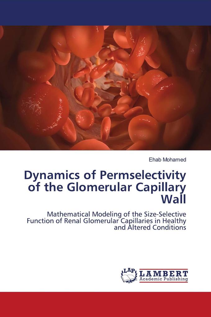 Dynamics of Permselectivity of the Glomerular Capillary Wall