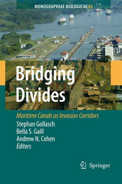 Bridging Divides