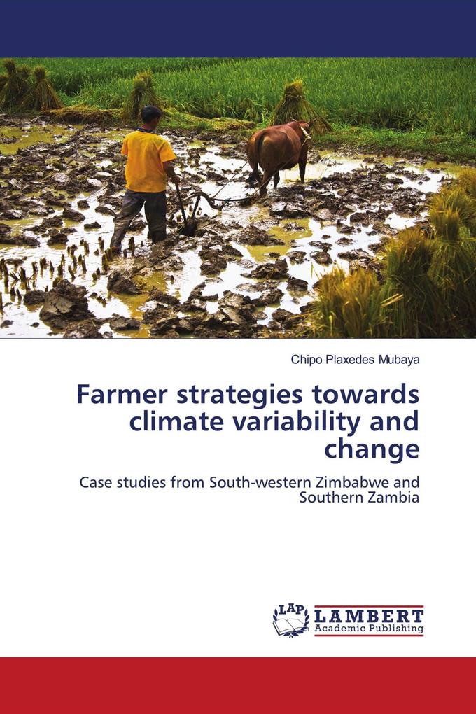 Farmer strategies towards climate variability and change
