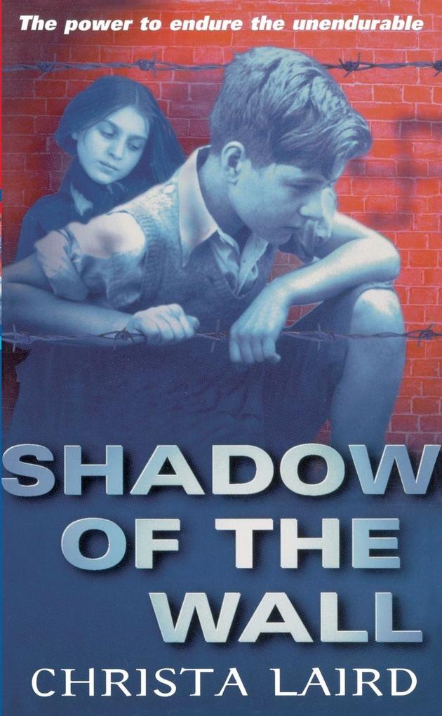 Shadow Of The Wall