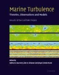 Marine Turbulence