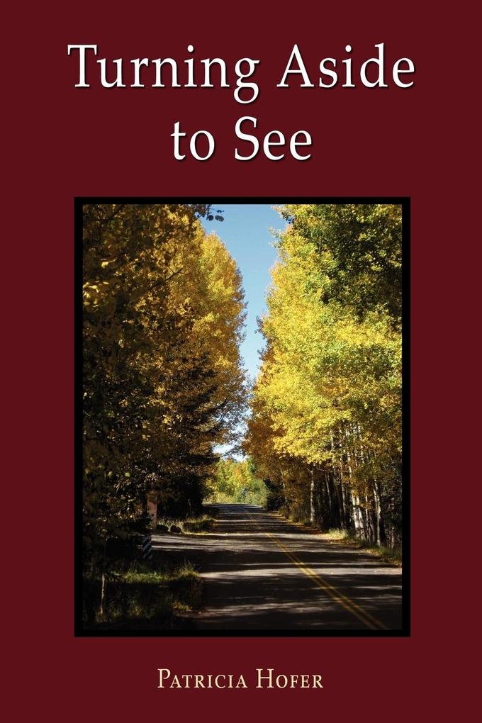 Turning Aside to See