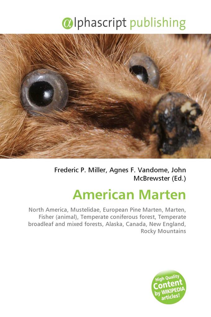 American Marten
