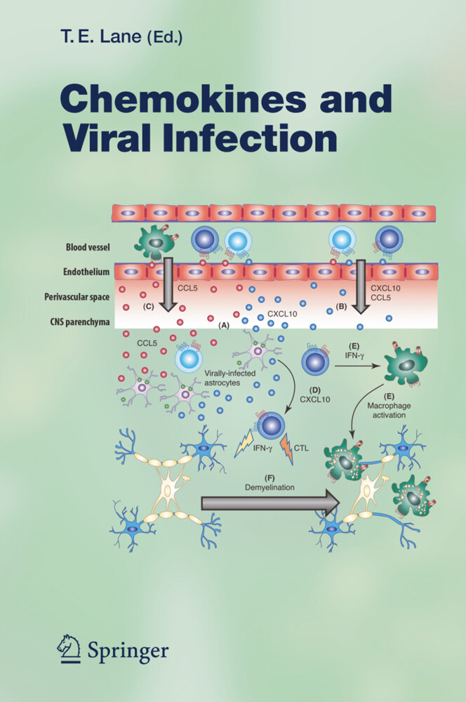Chemokines and Viral Infection