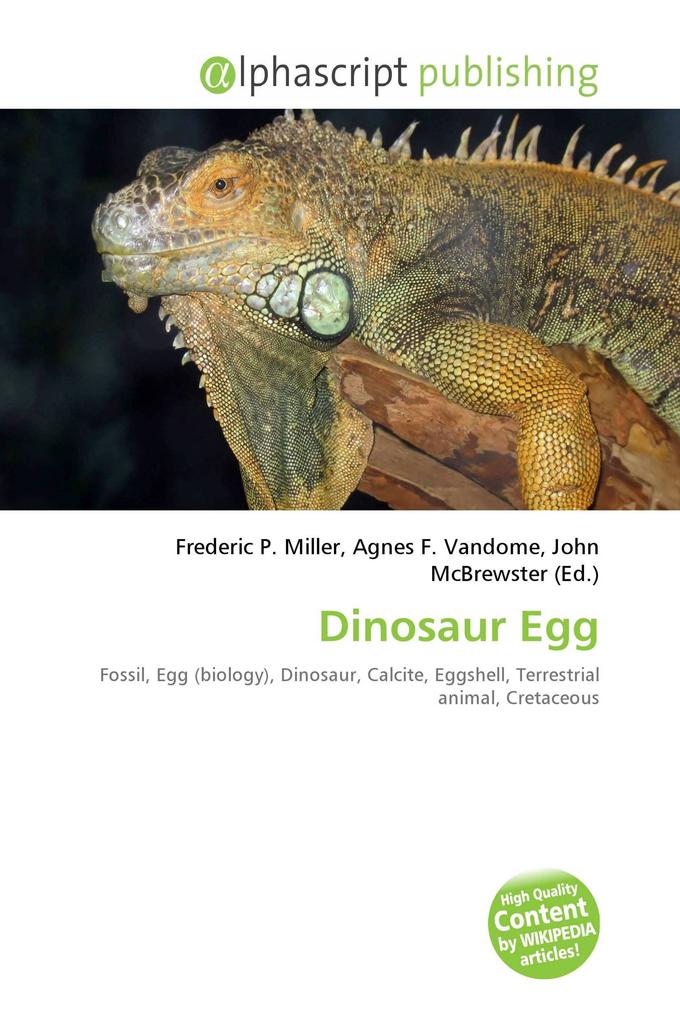 Dinosaur Egg