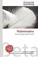 Phyllastrephus